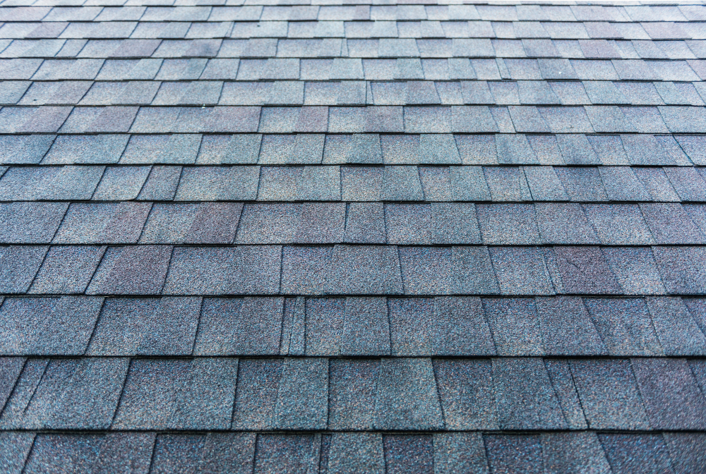 Asphalt shingle roof